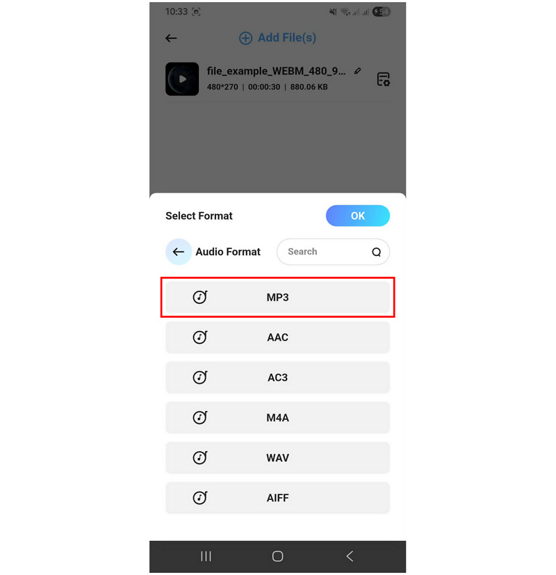 AllVidConverter Formato audio MP3