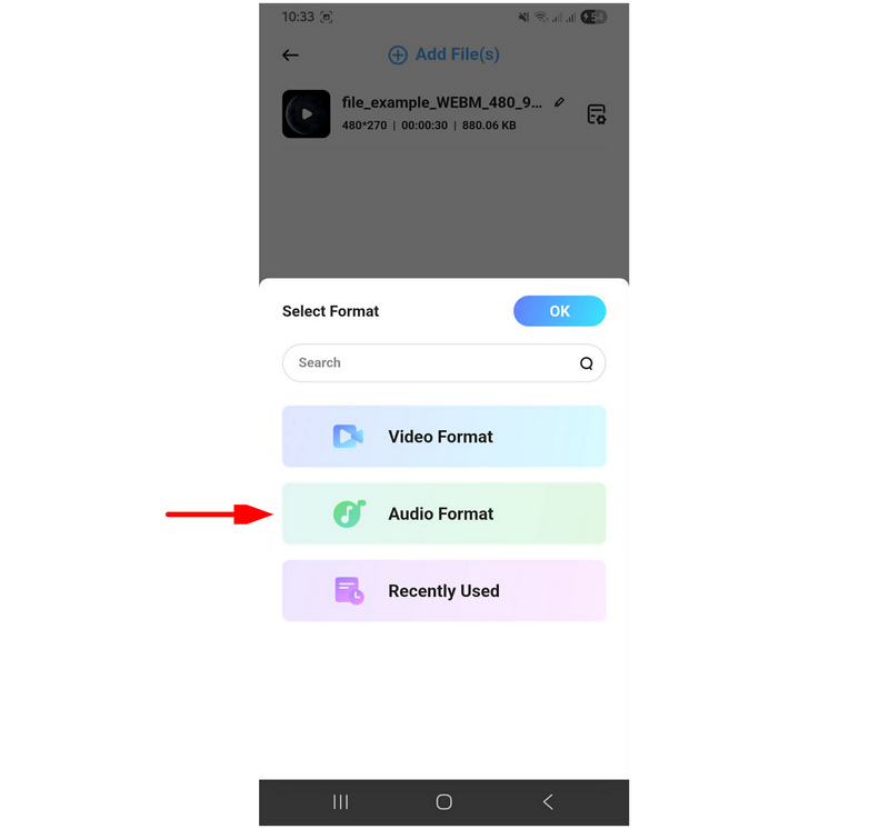 Formato audio di AllVidConverter