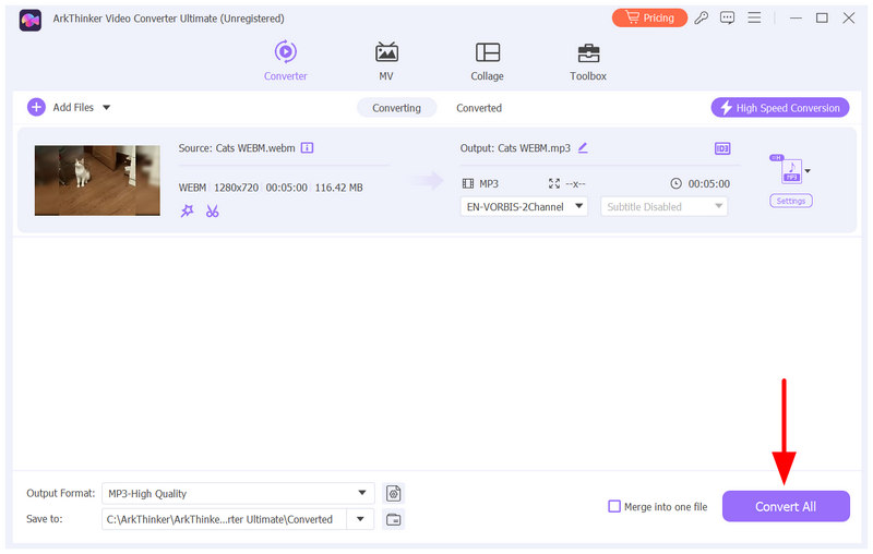 ArkThinker Video Converter Ultimate Convert All