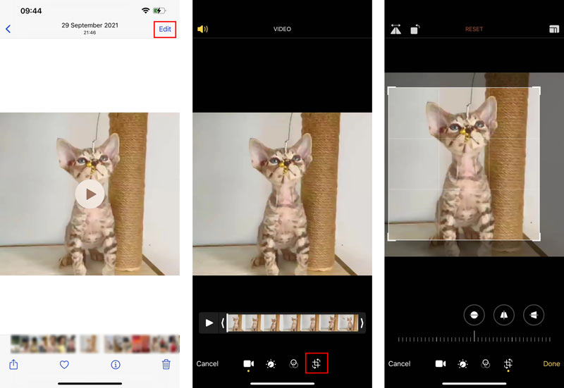 Crop a Video on iPhone Free