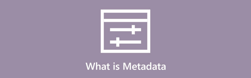 What is Metadata