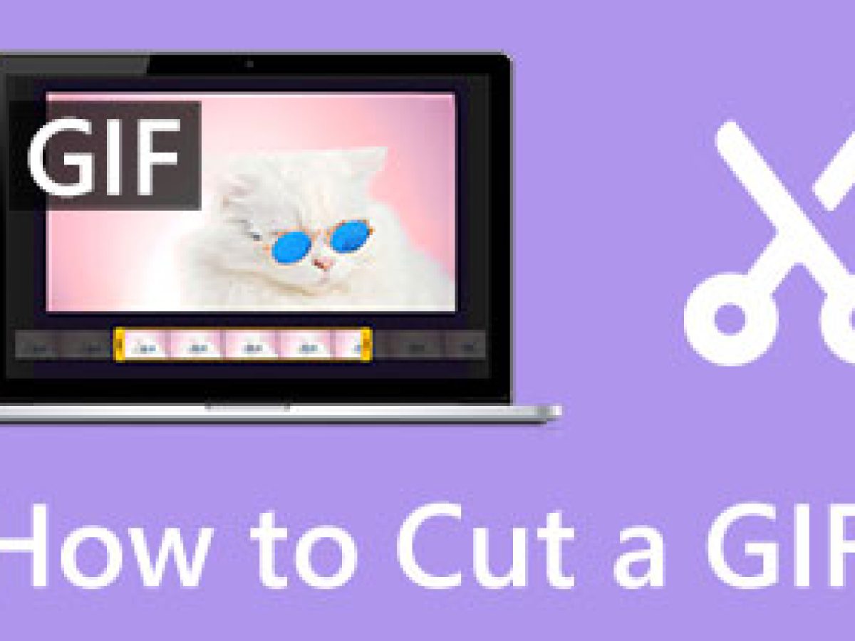 How To Use A GIF Trimmer In Seconds