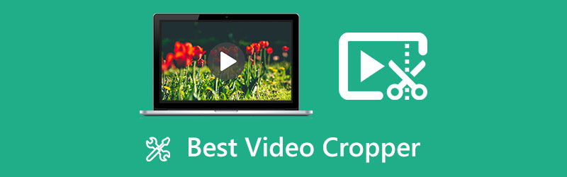 Best Video Cropper