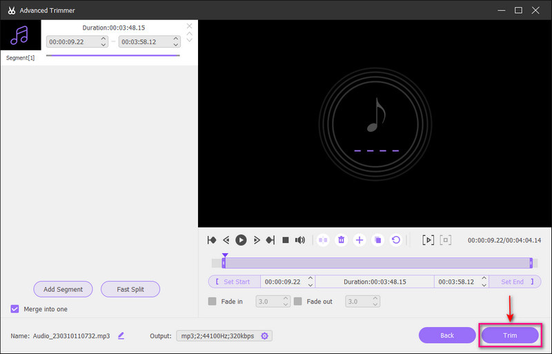 Interrompi la registrazione audio