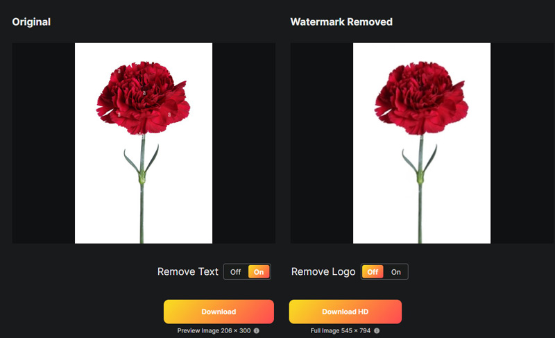 Verwijder het afbeeldingswatermerk in WatermarkRemover.io