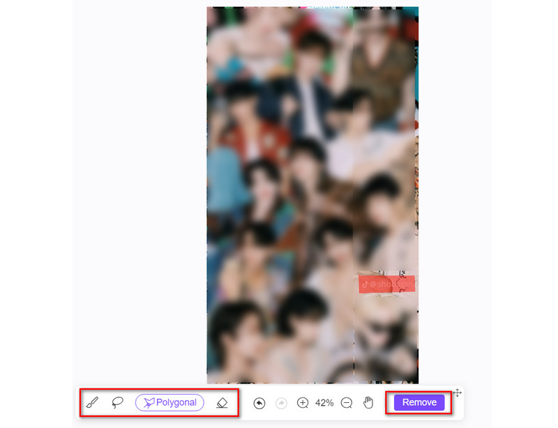 Choose TikTok Watermark and Remove