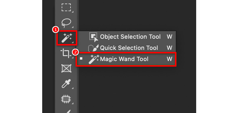 Magic Wand Tool