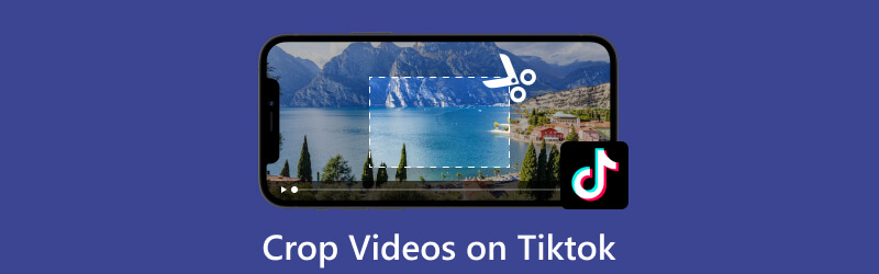 Beskär video på TikTok