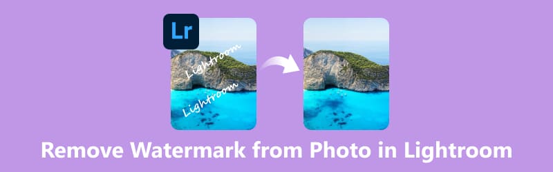 在 Lightroom 中刪除浮水印