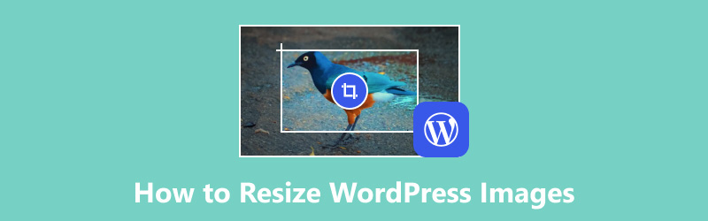 Come ridimensionare le immagini WordPress