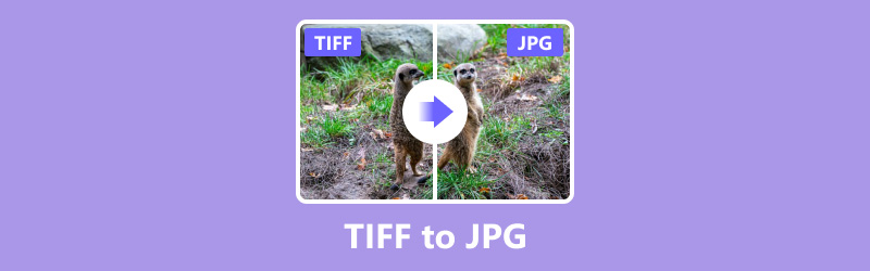 TIFF to JPG