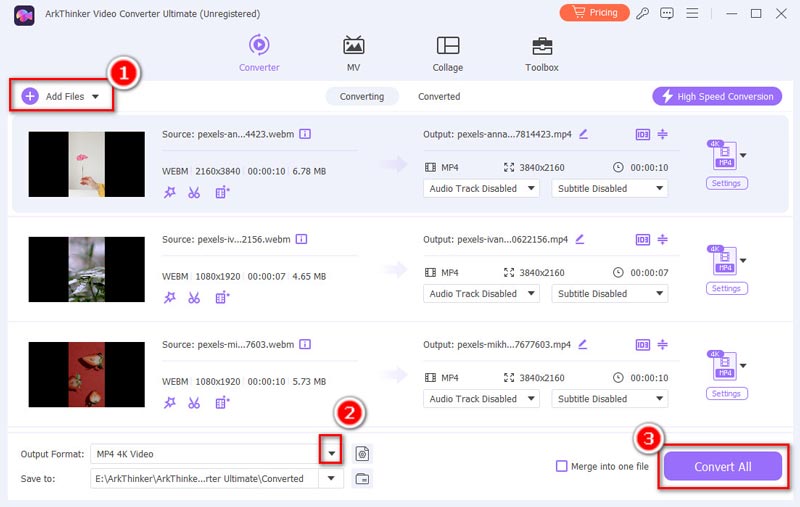 Arkthinker Convertitore WebM in MP4