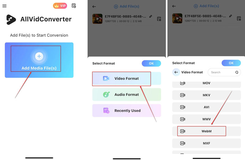 在 Allvidconverter 中将 WebM 转换为 MP4