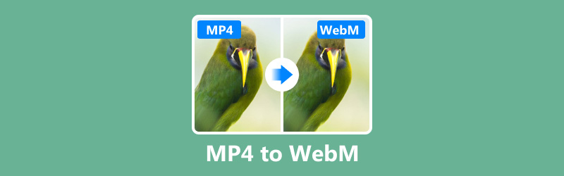 MP4 till WebM