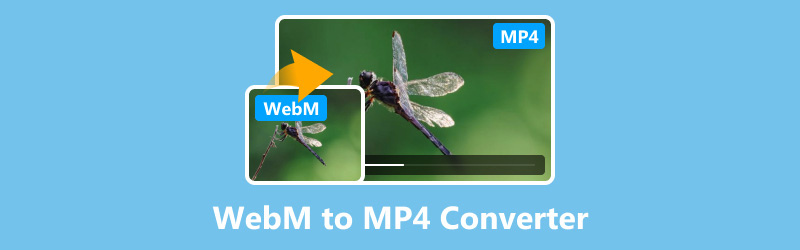 WebM'den MP4'e Dönüştürücü