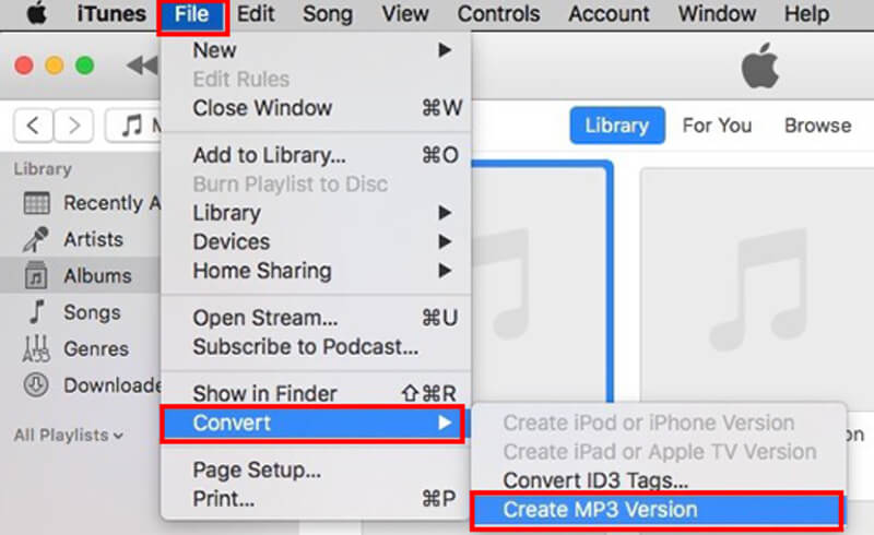 Convertire M4A in MP3 in iTunes