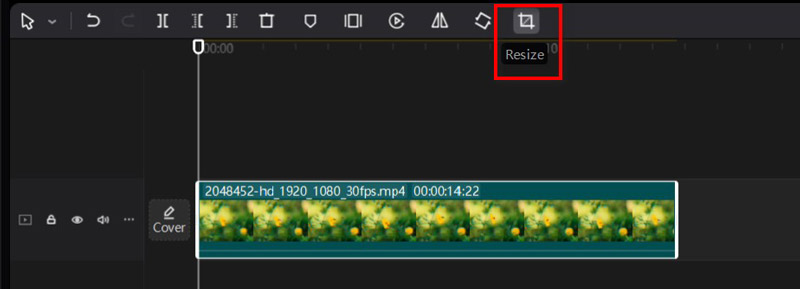 Find Resize in Capcut