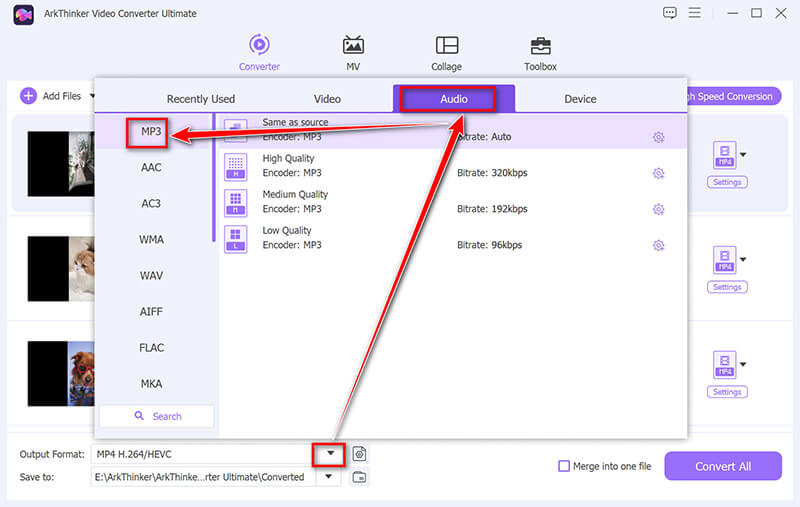 Seleziona il formato di output MP3