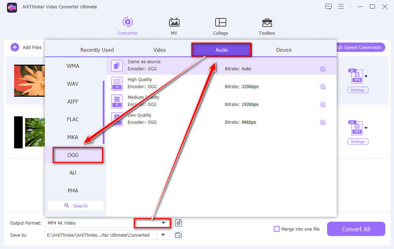 Select OGG Output Format