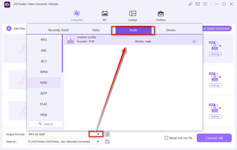 Select WAV Output Format