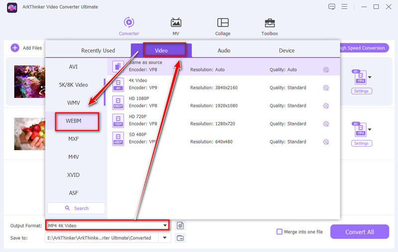 Seleziona il formato di output WEBM