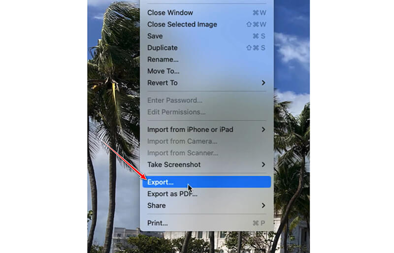 Preview Export Option