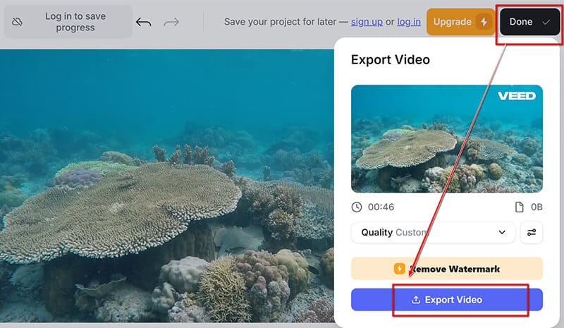 Veed Export Video