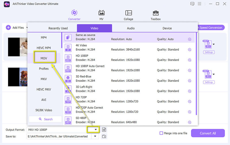 Select MOV Output Format