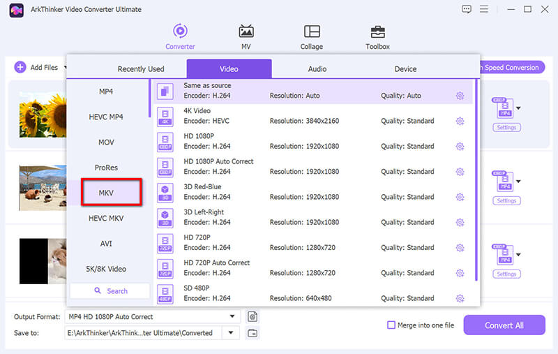 Select MKV Output Format