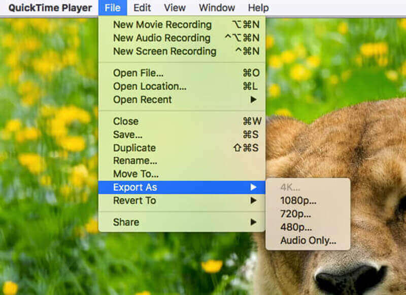 Quicktime-Export als